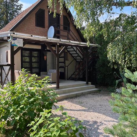 Villa Aranypart Vendeghaz - Tiszakécske Exterior foto
